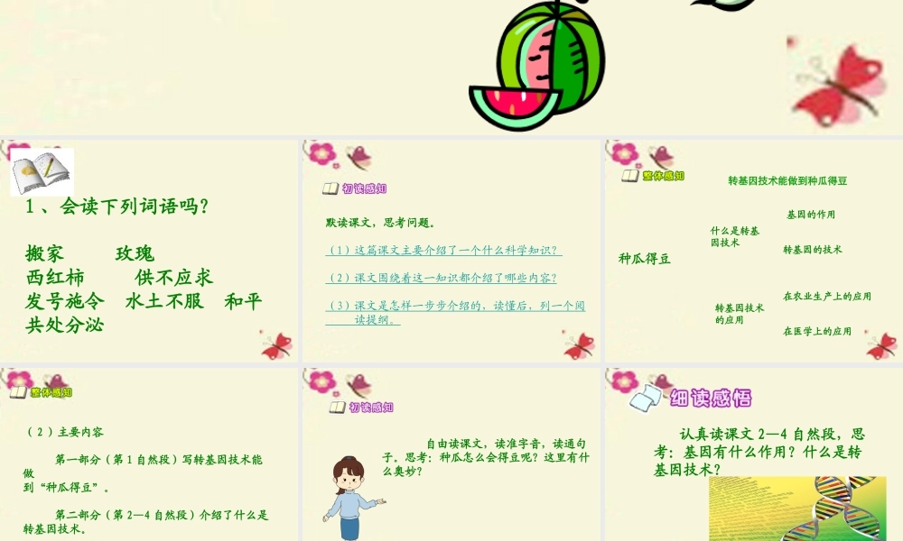 六年级语文下册 第3单元 12《种瓜得豆》课件2 语文S版-语文S版小学六年级下册语文课件