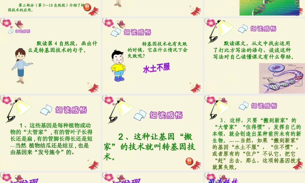 六年级语文下册 第3单元 12《种瓜得豆》课件2 语文S版-语文S版小学六年级下册语文课件