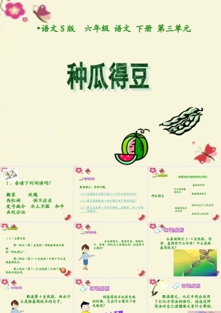 六年级语文下册 第3单元 12《种瓜得豆》课件2 语文S版-语文S版小学六年级下册语文课件