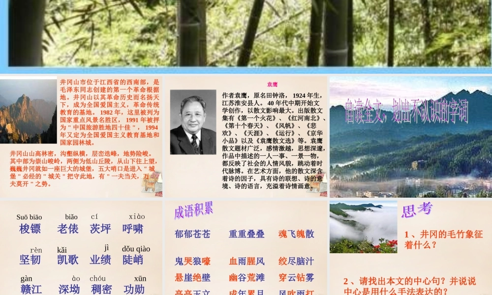 六年级语文下册《井冈翠竹》课件4 长春版-长春版小学六年级下册语文课件