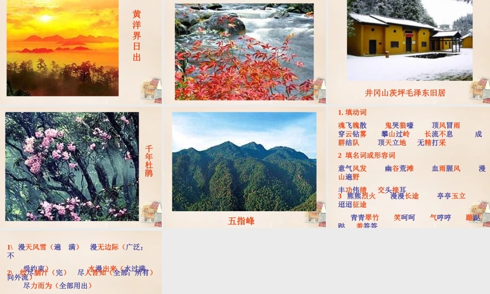 六年级语文下册《井冈翠竹》课件4 长春版-长春版小学六年级下册语文课件