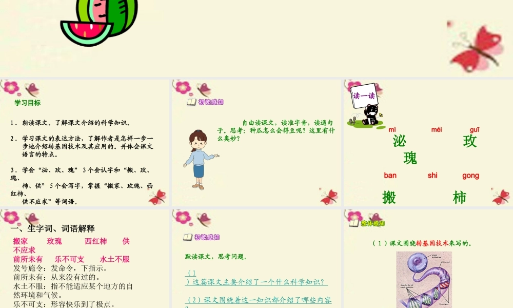 六年级语文下册 第3单元 12《种瓜得豆》课件3 语文S版-语文S版小学六年级下册语文课件