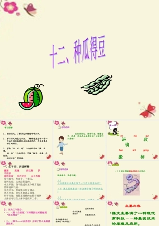 六年级语文下册 第3单元 12《种瓜得豆》课件3 语文S版-语文S版小学六年级下册语文课件