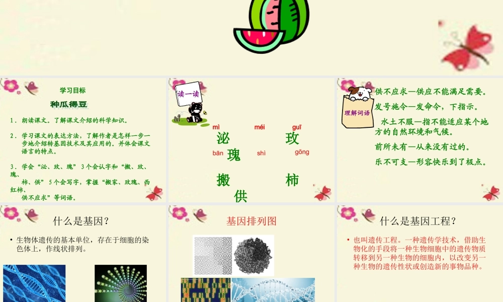 六年级语文下册 第3单元 12《种瓜得豆》课件4 语文S版-语文S版小学六年级下册语文课件