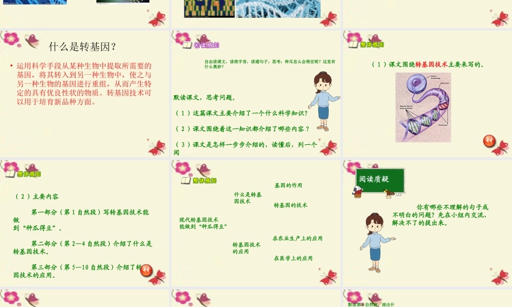 六年级语文下册 第3单元 12《种瓜得豆》课件4 语文S版-语文S版小学六年级下册语文课件