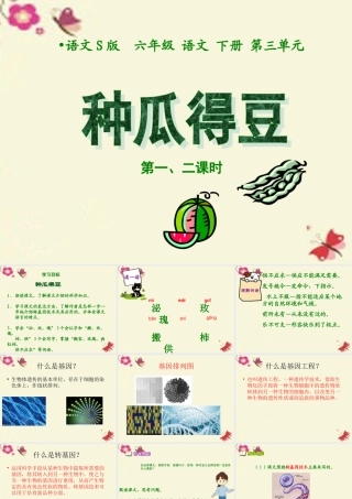 六年级语文下册 第3单元 12《种瓜得豆》课件4 语文S版-语文S版小学六年级下册语文课件