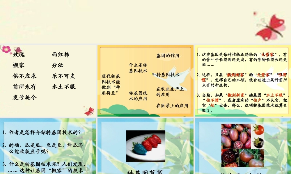 六年级语文下册 第3单元 12《种瓜得豆》课件5 语文S版-语文S版小学六年级下册语文课件