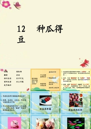 六年级语文下册 第3单元 12《种瓜得豆》课件5 语文S版-语文S版小学六年级下册语文课件