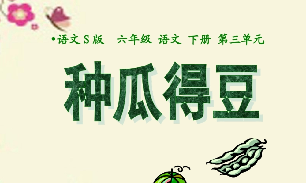 六年级语文下册 第3单元 12《种瓜得豆》课件6 语文S版-语文S版小学六年级下册语文课件