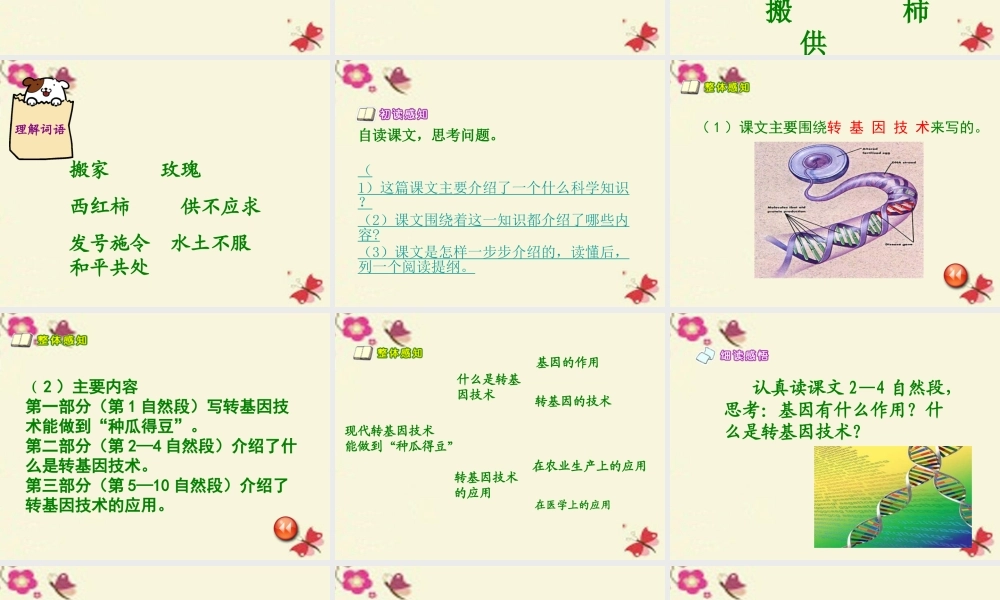 六年级语文下册 第3单元 12《种瓜得豆》课件6 语文S版-语文S版小学六年级下册语文课件