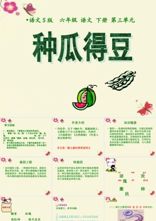六年级语文下册 第3单元 12《种瓜得豆》课件6 语文S版-语文S版小学六年级下册语文课件
