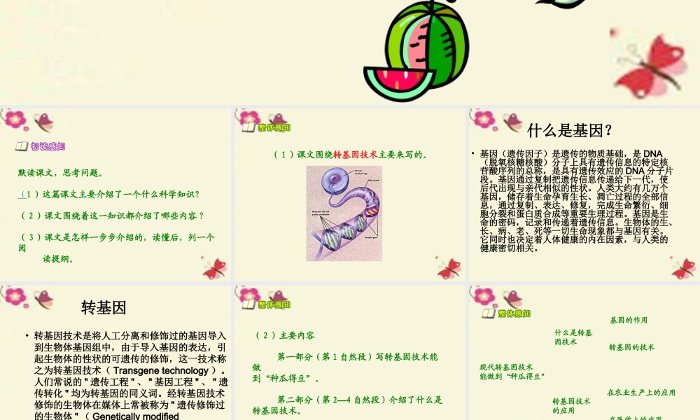 六年级语文下册 第3单元 12《种瓜得豆》课件7 语文S版-语文S版小学六年级下册语文课件