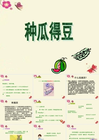 六年级语文下册 第3单元 12《种瓜得豆》课件7 语文S版-语文S版小学六年级下册语文课件