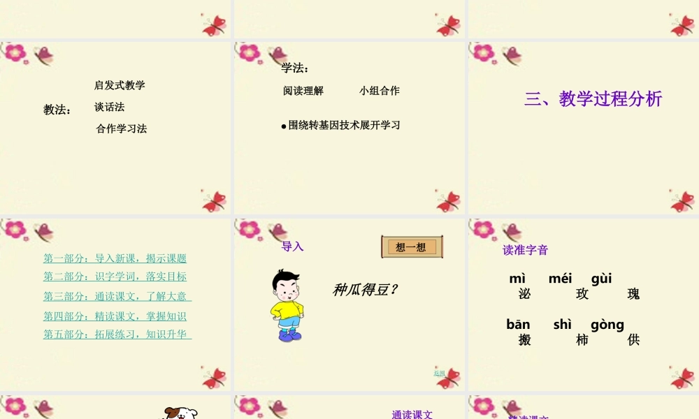 六年级语文下册 第3单元 12《种瓜得豆》课件8 语文S版-语文S版小学六年级下册语文课件