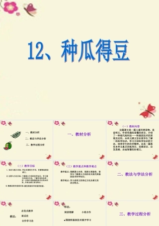 六年级语文下册 第3单元 12《种瓜得豆》课件8 语文S版-语文S版小学六年级下册语文课件