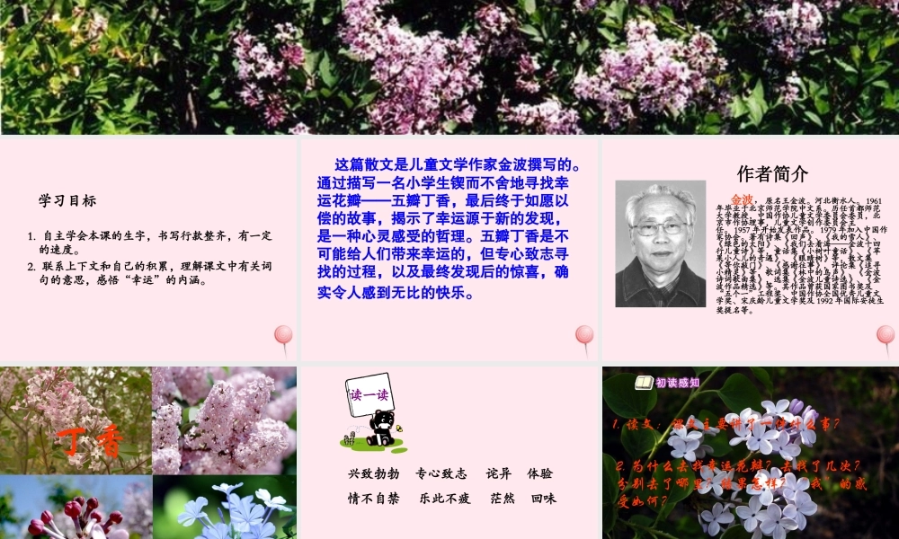 六年级语文下册 第七单元 第25课《寻找幸运花瓣》课件 西师大版-西师大版小学六年级下册语文课件