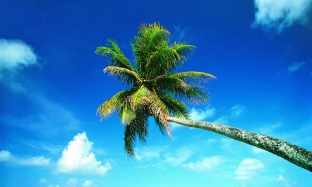 六年级语文下册 第3单元 13《海水为什么是蓝的》课件2 语文S版-语文S版小学六年级下册语文课件