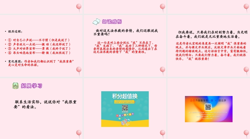 六年级语文下册 第七单元 第26课《我很重要》课件 西师大版-西师大版小学六年级下册语文课件