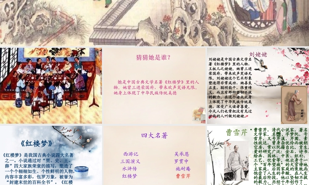 六年级语文下册《刘姥姥二进荣国府（节选）》课件1 长春版-长春版小学六年级下册语文课件