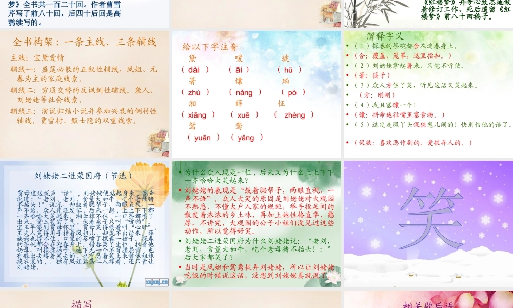 六年级语文下册《刘姥姥二进荣国府（节选）》课件1 长春版-长春版小学六年级下册语文课件