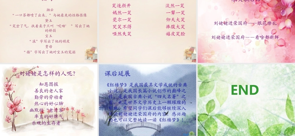 六年级语文下册《刘姥姥二进荣国府（节选）》课件1 长春版-长春版小学六年级下册语文课件