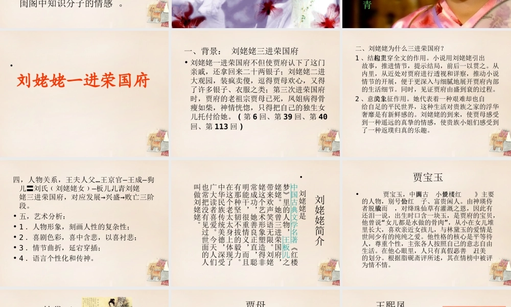 六年级语文下册《刘姥姥二进荣国府（节选）》课件2 长春版-长春版小学六年级下册语文课件