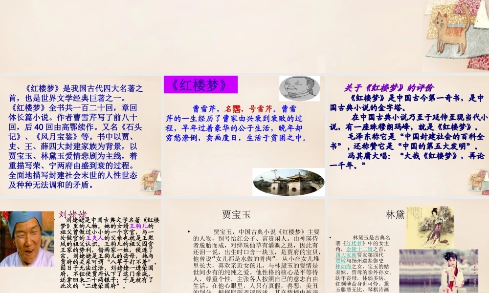 六年级语文下册《刘姥姥二进荣国府（节选）》课件3 长春版-长春版小学六年级下册语文课件