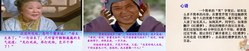 六年级语文下册《刘姥姥二进荣国府（节选）》课件4 长春版-长春版小学六年级下册语文课件