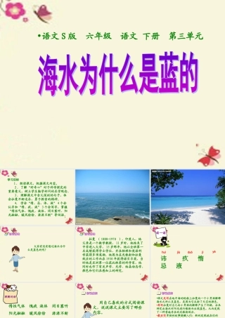 六年级语文下册 第3单元 13《海水为什么是蓝的》课件7 语文S版-语文S版小学六年级下册语文课件