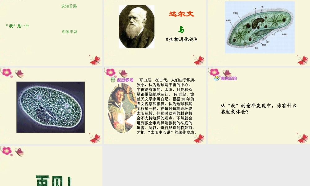 六年级语文下册 第3单元 14《童年的发现》课件2 语文S版-语文S版小学六年级下册语文课件