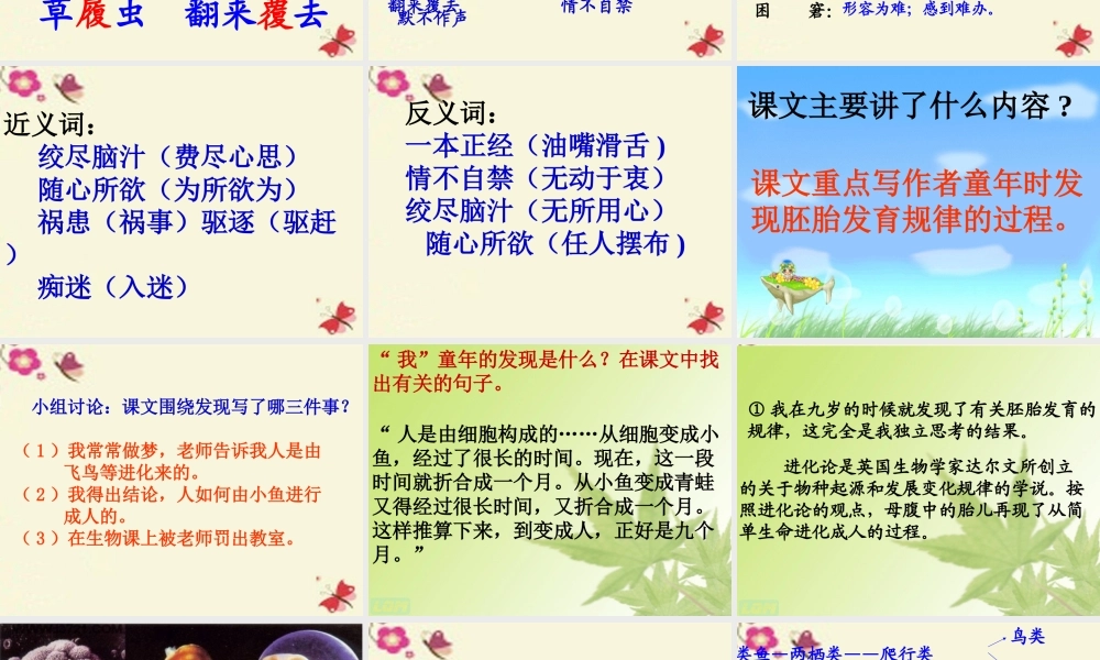 六年级语文下册 第3单元 14《童年的发现》课件3 语文S版-语文S版小学六年级下册语文课件