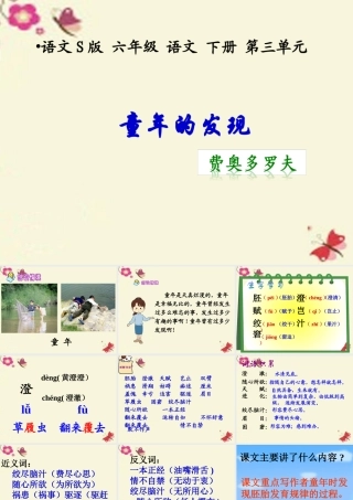 六年级语文下册 第3单元 14《童年的发现》课件3 语文S版-语文S版小学六年级下册语文课件