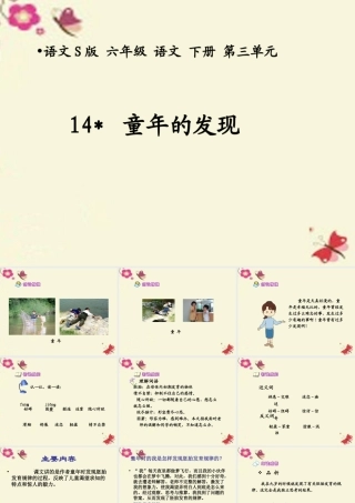 六年级语文下册 第3单元 14《童年的发现》课件4 语文S版-语文S版小学六年级下册语文课件
