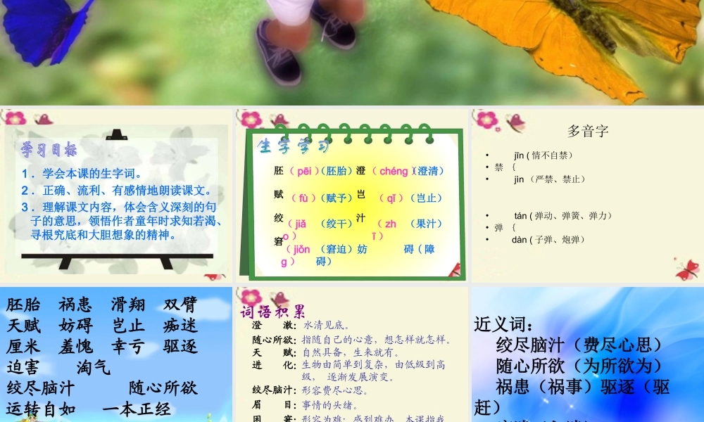 六年级语文下册 第3单元 14《童年的发现》课件5 语文S版-语文S版小学六年级下册语文课件