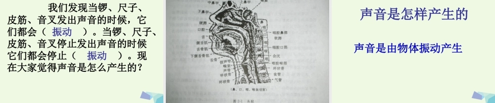 四年级科学上册 3.2 声音是怎样产生的课件2 教科版-教科版小学四年级上册自然科学课件