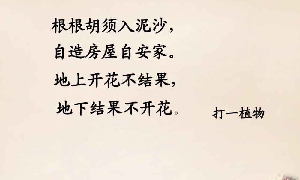 六年级语文下册《落花生》课件1 长春版-长春版小学六年级下册语文课件
