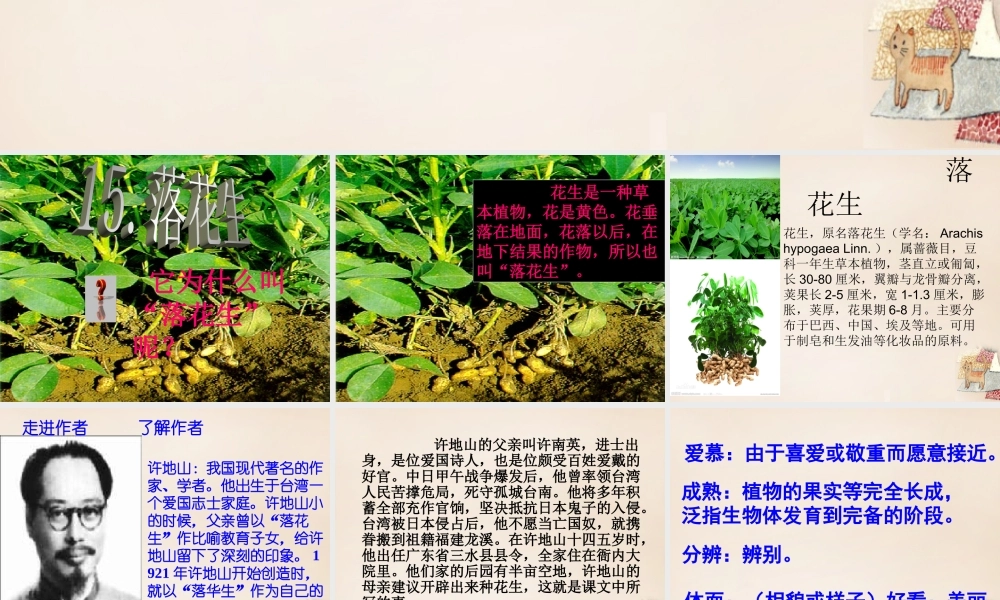 六年级语文下册《落花生》课件1 长春版-长春版小学六年级下册语文课件