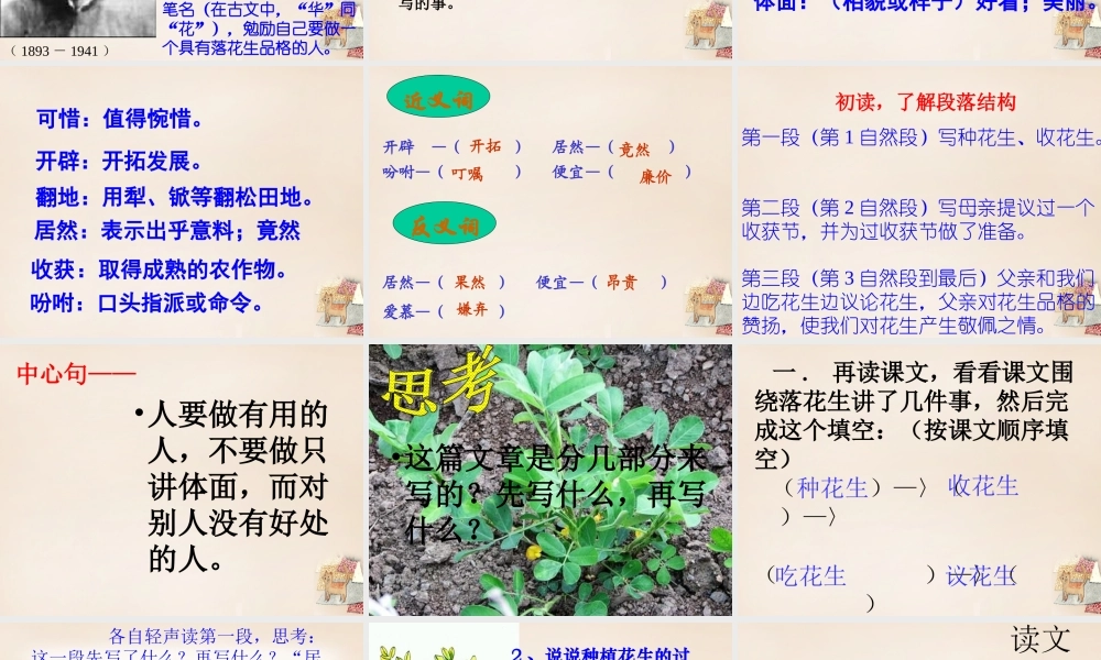 六年级语文下册《落花生》课件1 长春版-长春版小学六年级下册语文课件