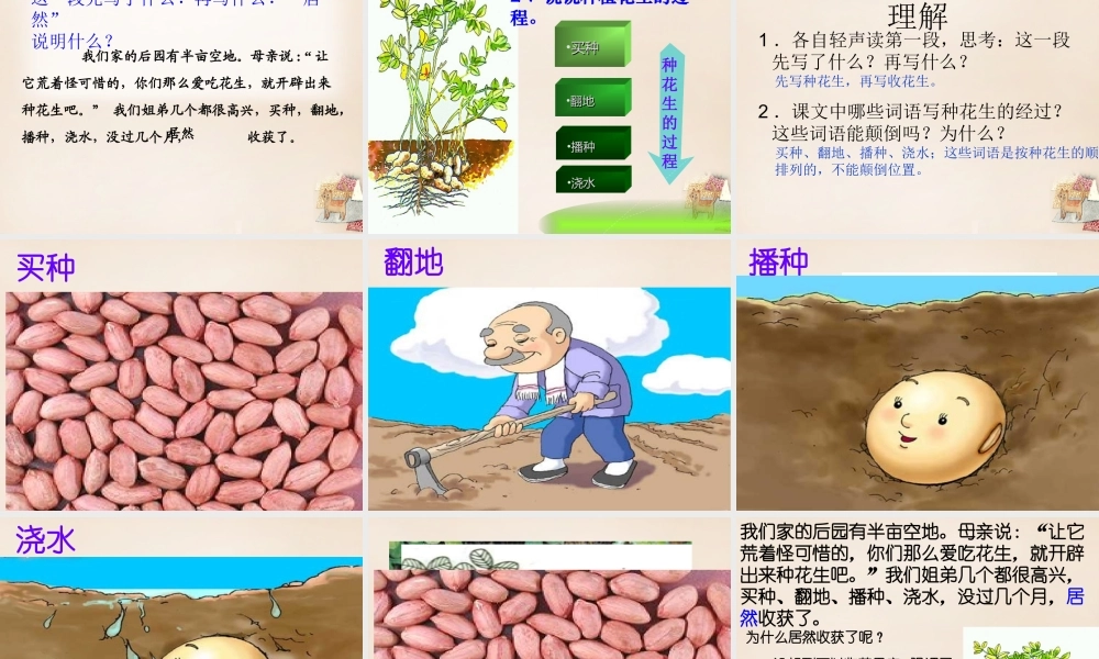 六年级语文下册《落花生》课件1 长春版-长春版小学六年级下册语文课件