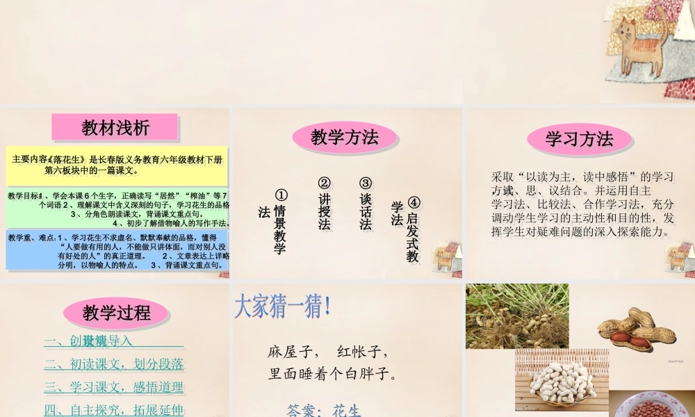 六年级语文下册《落花生》课件2 长春版-长春版小学六年级下册语文课件