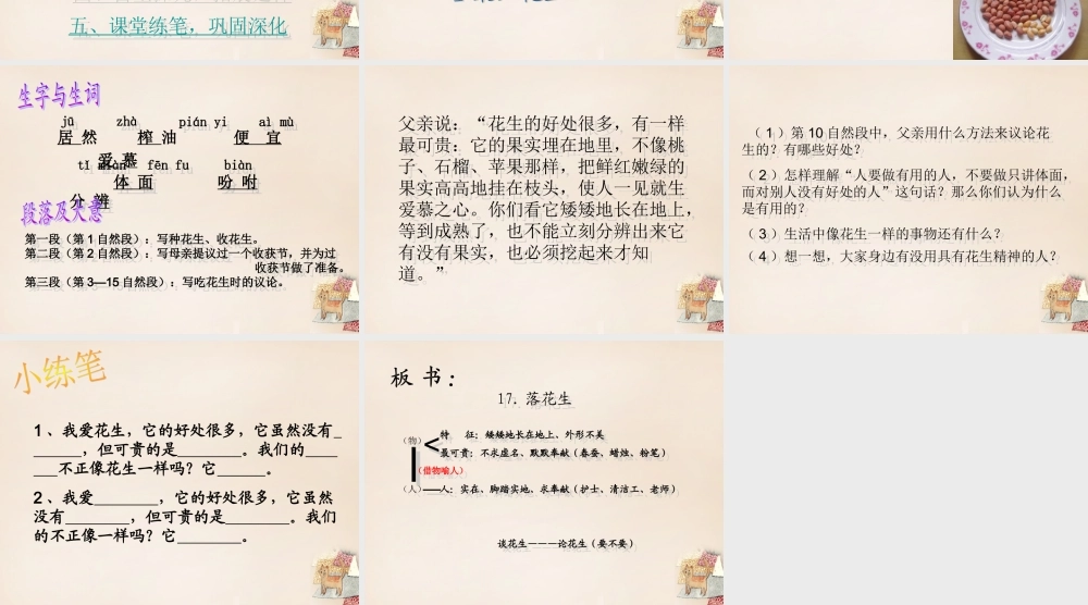 六年级语文下册《落花生》课件2 长春版-长春版小学六年级下册语文课件