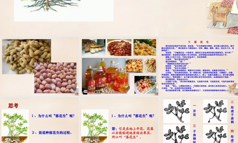 六年级语文下册《落花生》课件3 长春版-长春版小学六年级下册语文课件