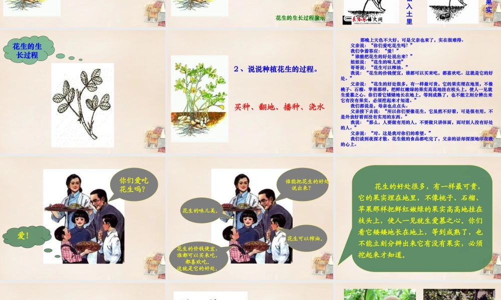 六年级语文下册《落花生》课件3 长春版-长春版小学六年级下册语文课件