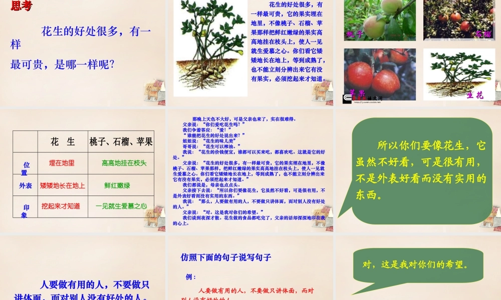 六年级语文下册《落花生》课件3 长春版-长春版小学六年级下册语文课件