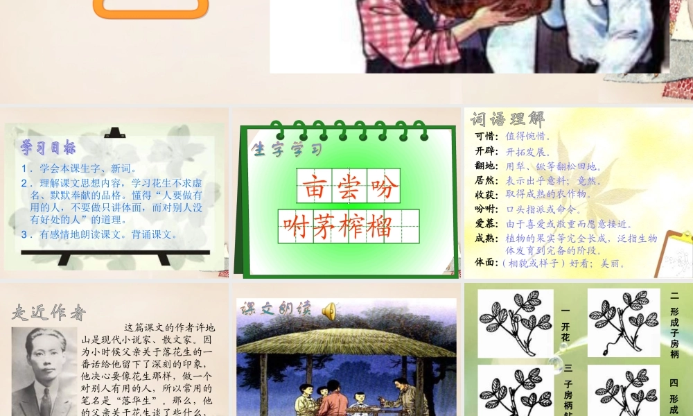 六年级语文下册《落花生》课件4 长春版-长春版小学六年级下册语文课件