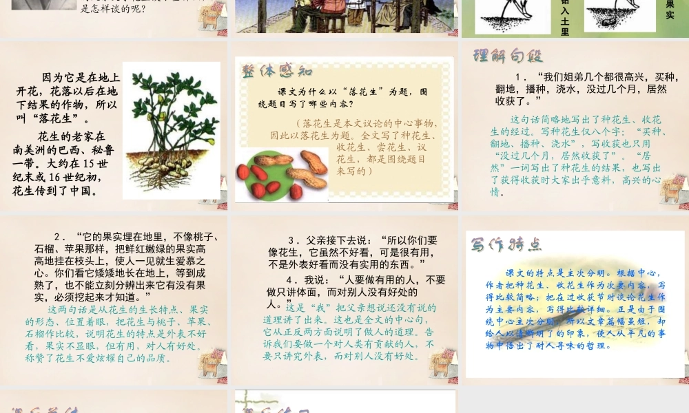 六年级语文下册《落花生》课件4 长春版-长春版小学六年级下册语文课件