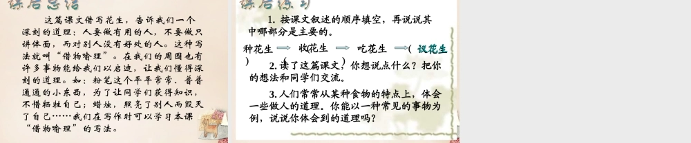 六年级语文下册《落花生》课件4 长春版-长春版小学六年级下册语文课件