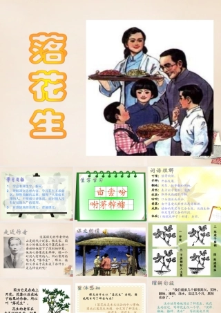 六年级语文下册《落花生》课件4 长春版-长春版小学六年级下册语文课件