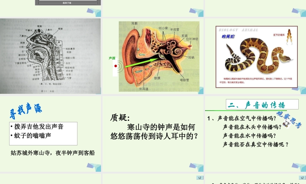 四年级科学上册 3.2 声音是怎样产生的课件4 教科版-教科版小学四年级上册自然科学课件