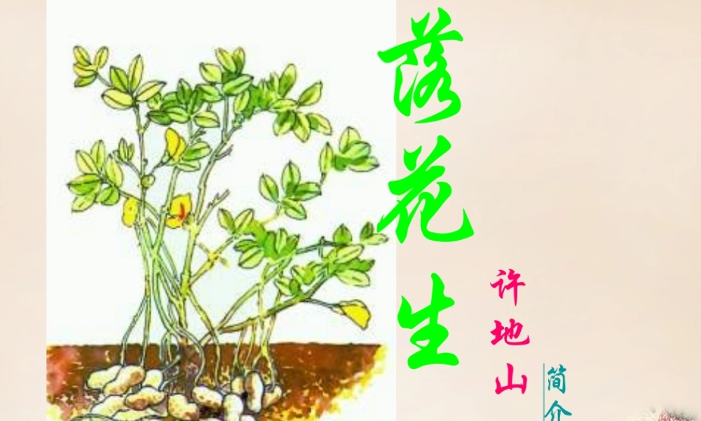 六年级语文下册《落花生》课件5 长春版-长春版小学六年级下册语文课件
